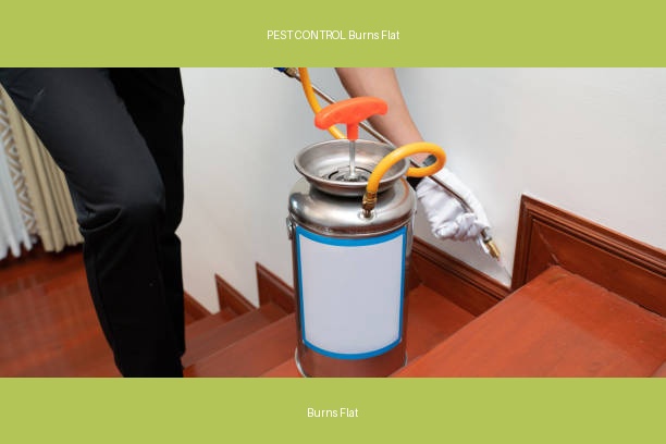 PEST CONTROL Burns Flat